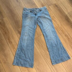 LOFT Light Blue Flare Jeans